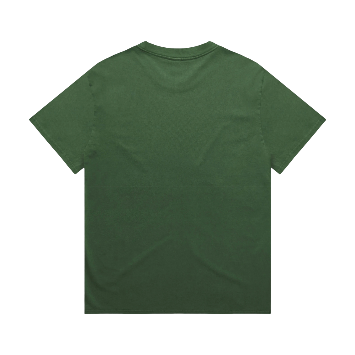 AS Colour Heavy Faded Tee in Faded Forest