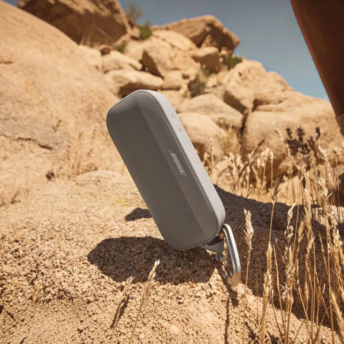 Bose SoundLink Flex