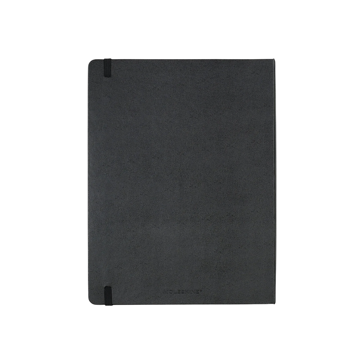 Moleskine Professional Project Planner
