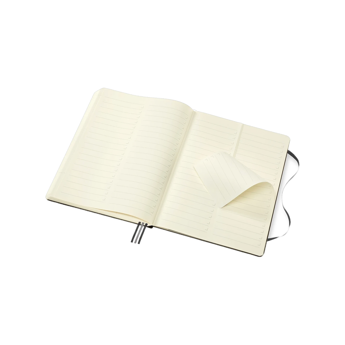 Moleskine Professional Project Planner