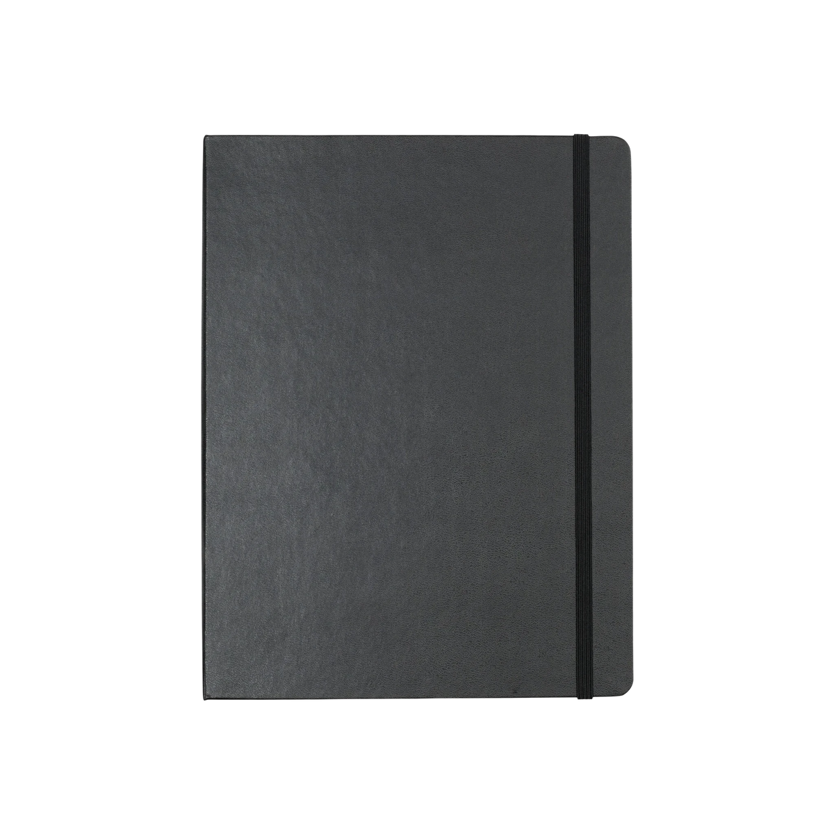 Moleskine Professional Project Planner