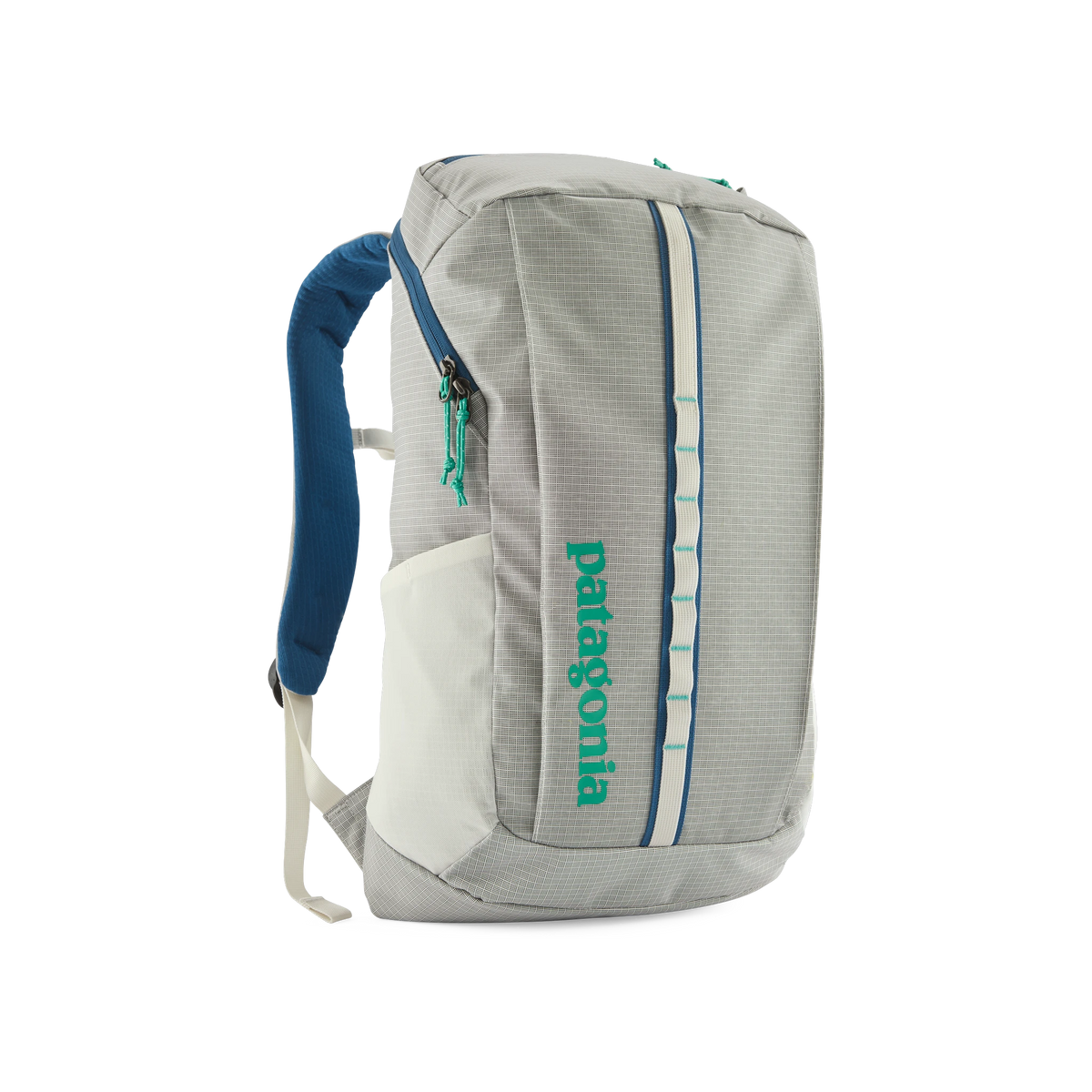 Patagonia Black Hole Pack in Birch White