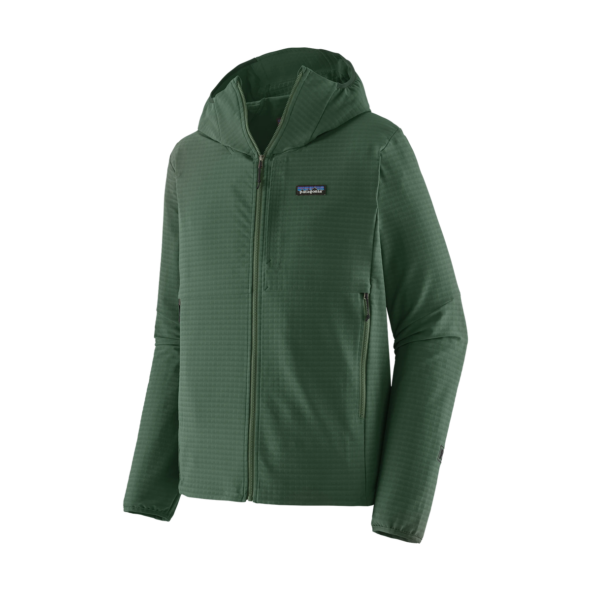 Patagonia R1 TechFace Hoody in Canopy Green